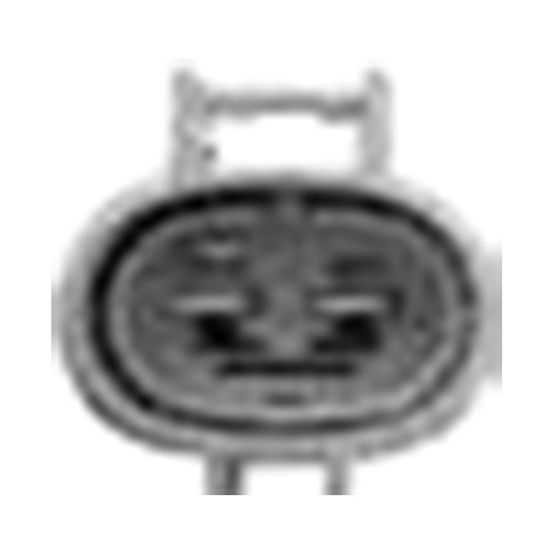 Hangzhou Golden Sun Autopeças Co., Ltd.