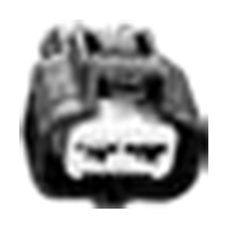 Hangzhou Golden Sun Autopeças Co., Ltd.