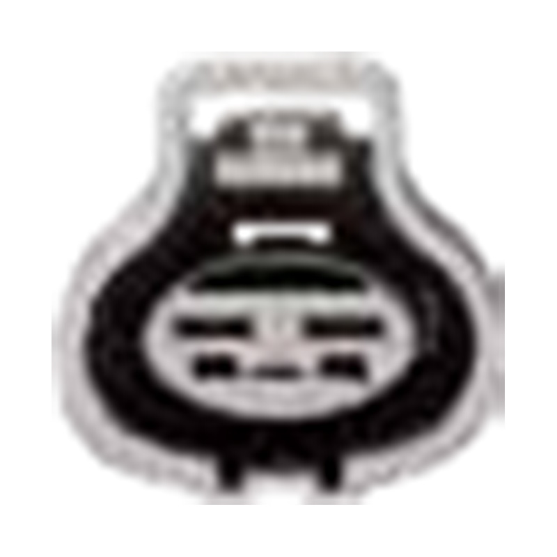 Hangzhou Golden Sun Autopeças Co., Ltd.